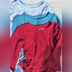 3 size 24m cat and jack long sleeved shirts.